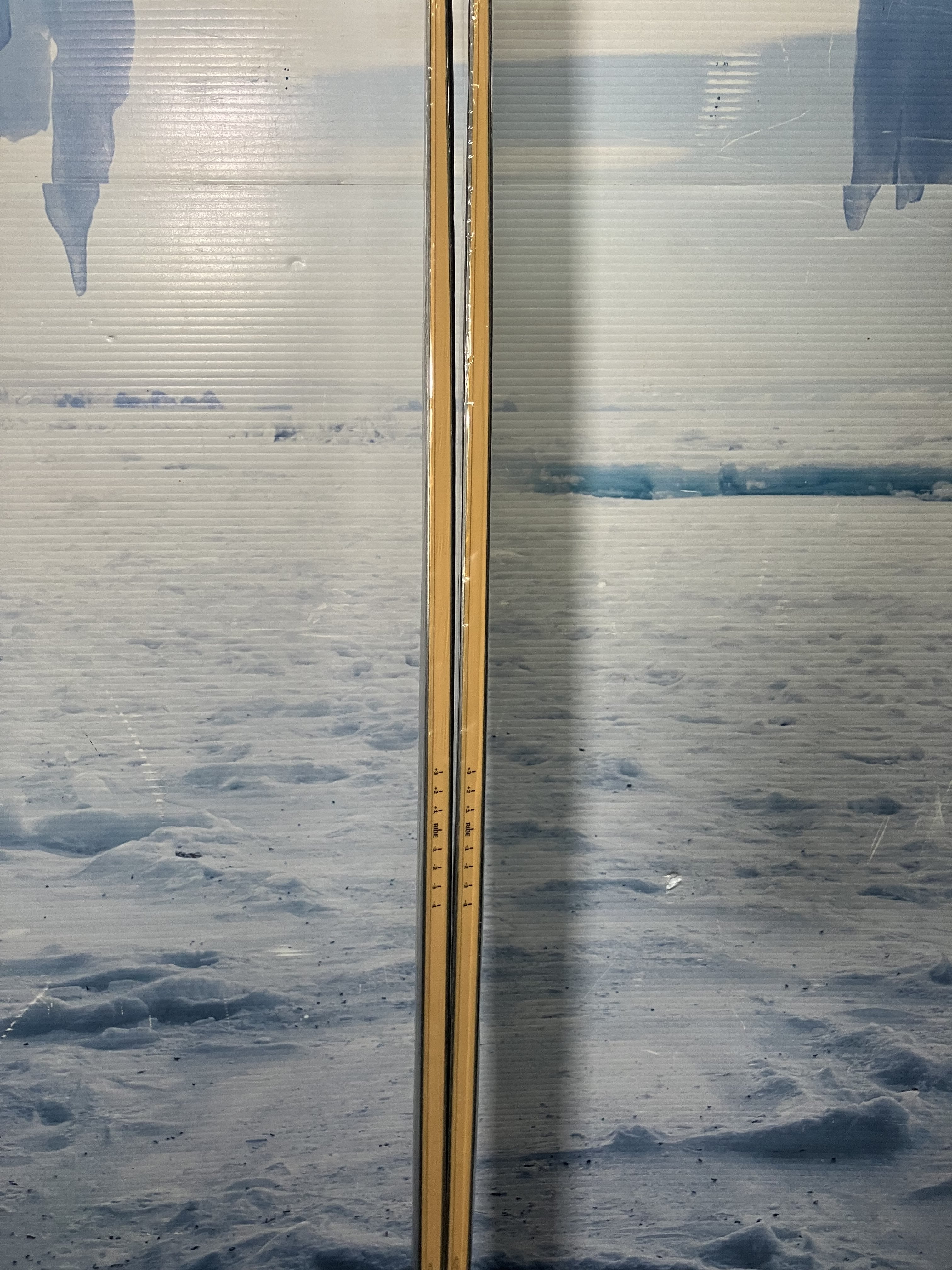New Elan Ripstick 102 Black Edition Flat 189Cm Skis