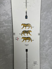 Lightly used 2025 Burton Process 162 cm Snowboard