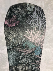 Lightly Used Niche Nightshade 2024 Snowboard- 145 cm