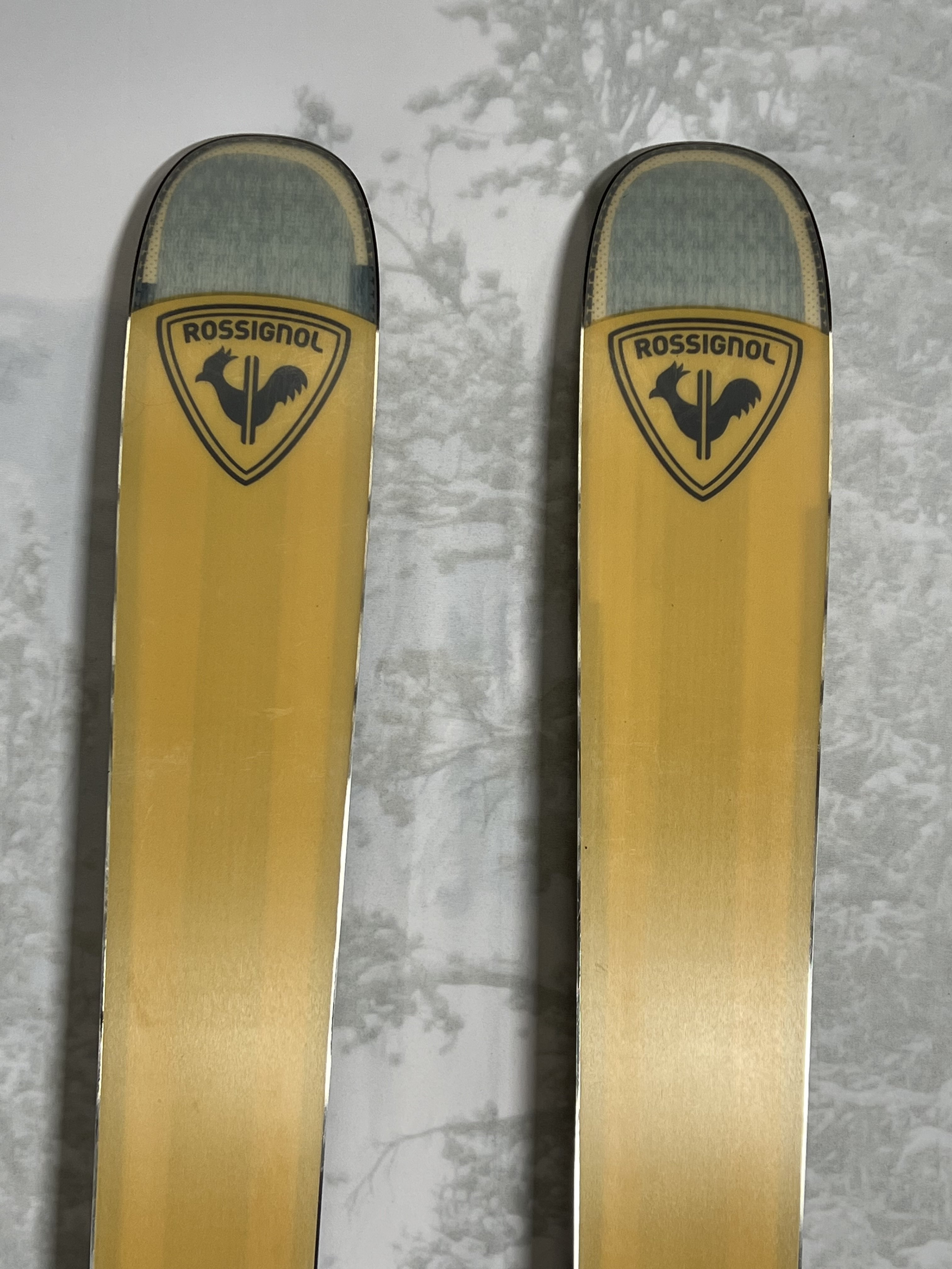 Lightly Used Rossignol Sender Free 118 186 cm Skis 2025 w/Look Konect GW Demo Bindings