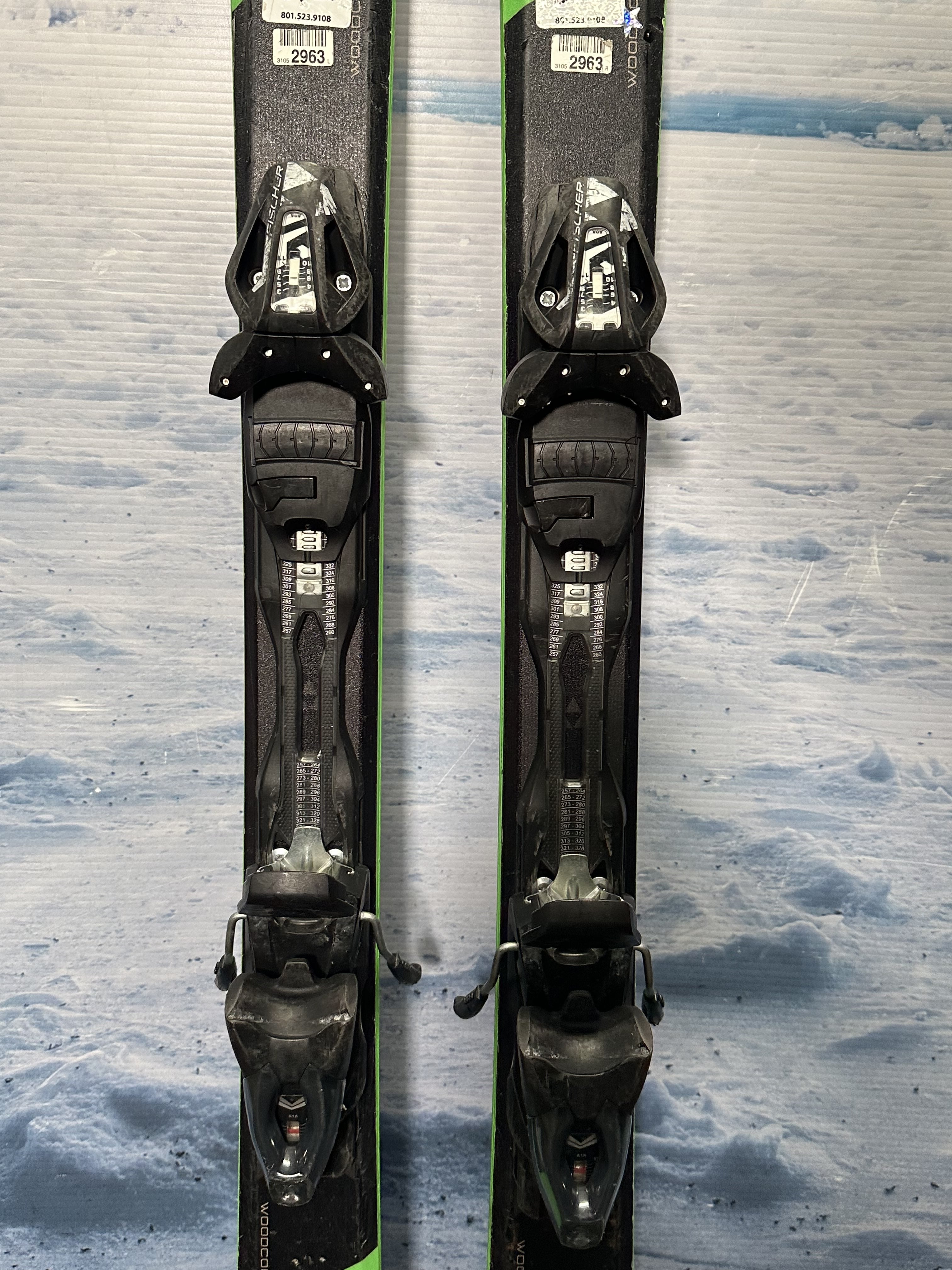 Used Fischer Pro MTN 164cm Skis w/ Fischer RS 11 Rental Binding