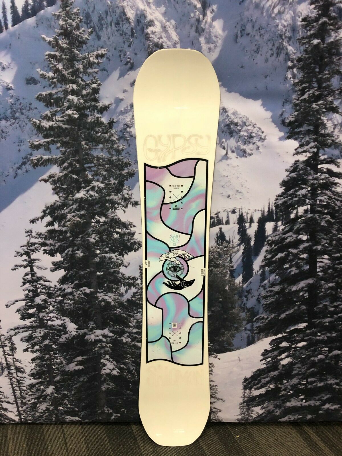 Plaatsen Reis Verwachten USED Salomon Gypsy 147cm - 2020 Freestyle Women's Snowboard – AJ Motion  Sports