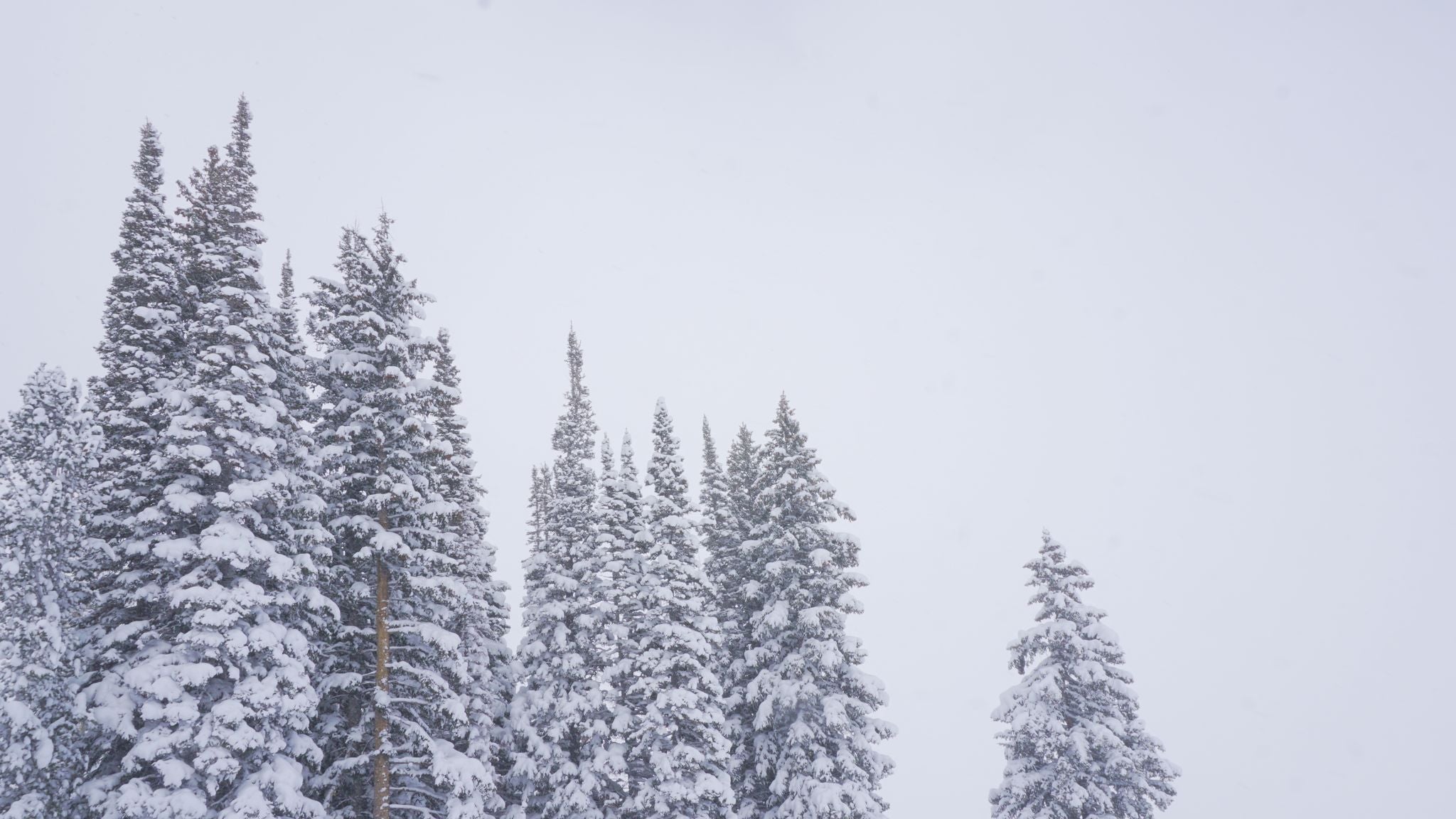 Women's Ski Socks