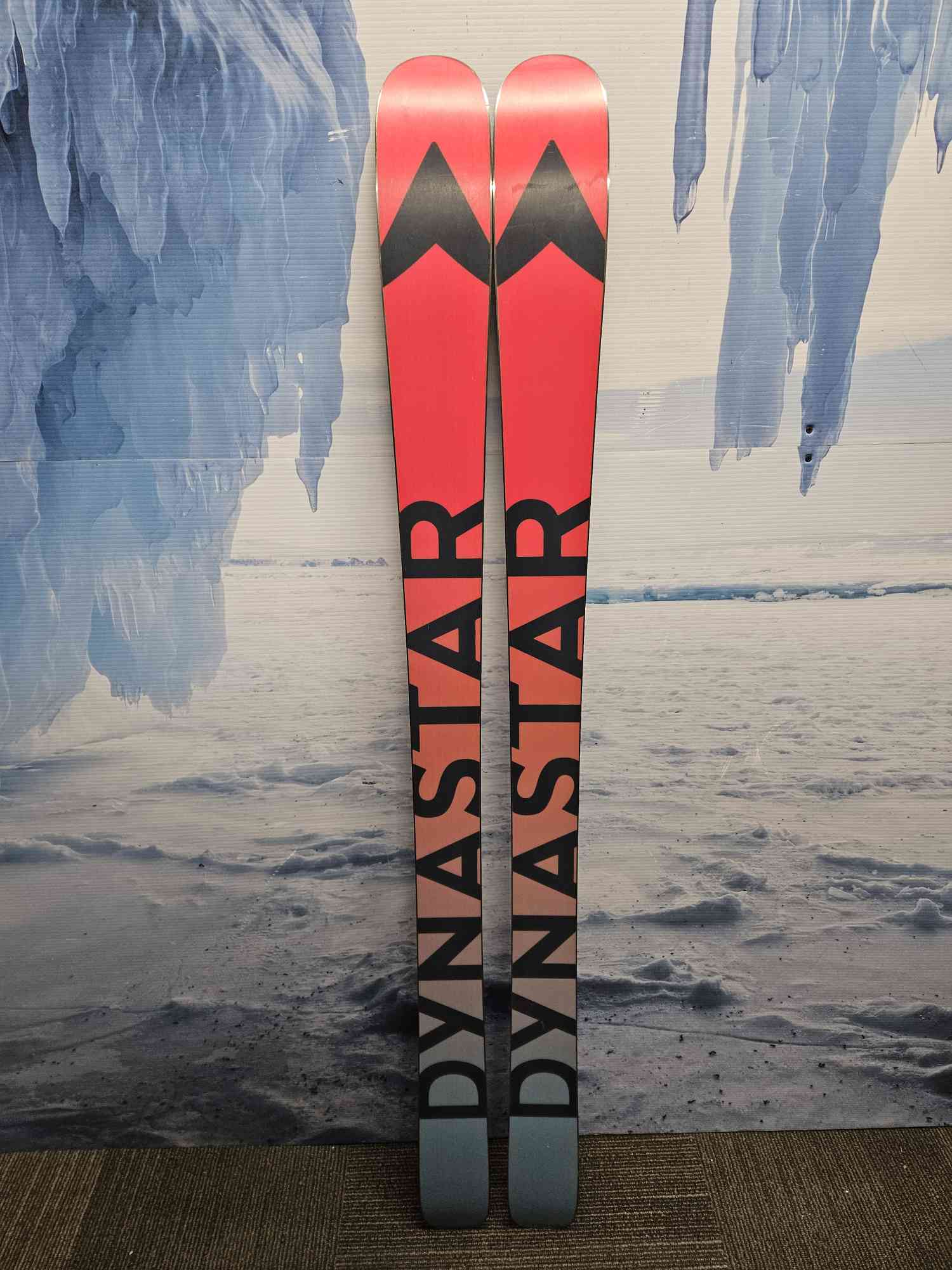 New Dynastar M-free 90 2024 Flat Skis 167cm