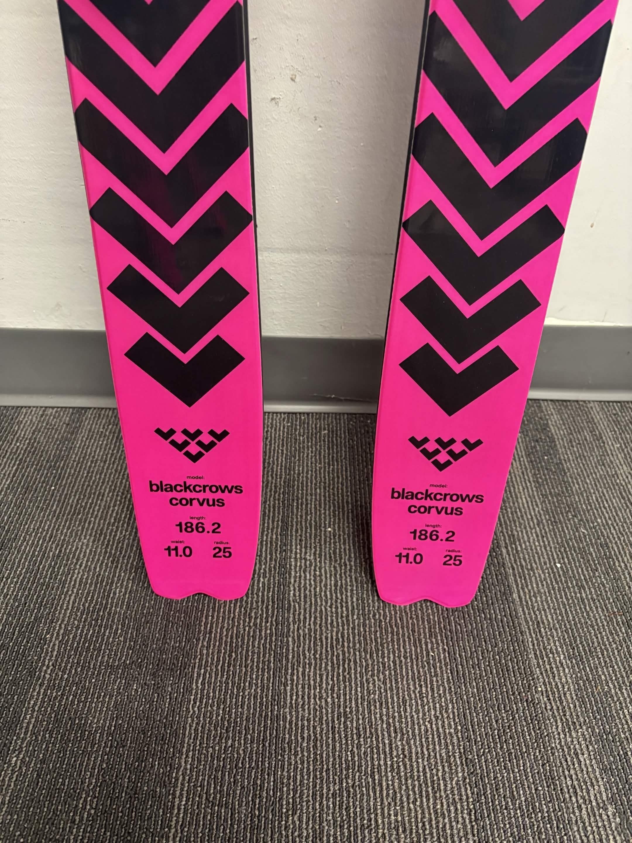 Black Crows Corvus Demo Ski 186cm w/ Atomic Strive 13 GW Demo Binding