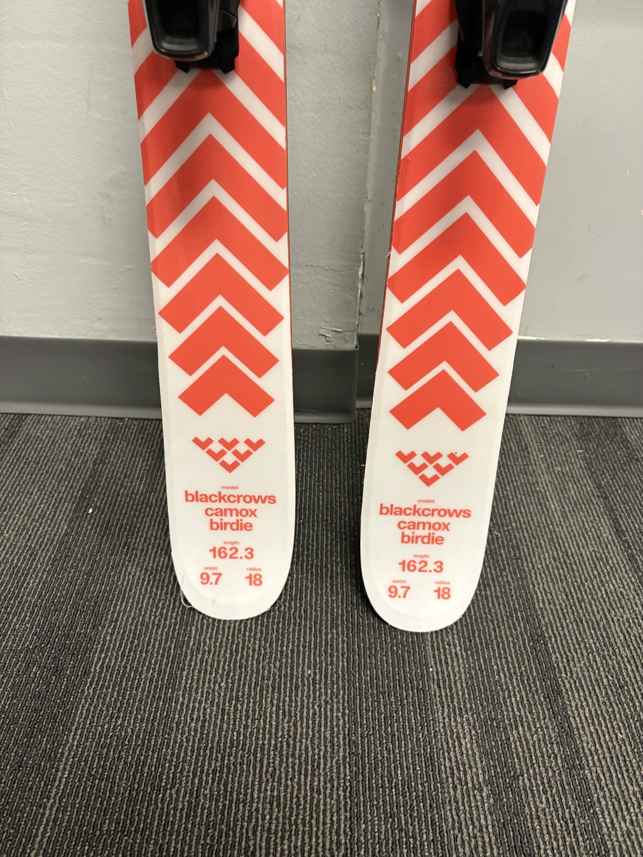 Black Crows Camox Birdie 162cm Skis w/ Atomic Strive 13 GW Demo Binding - New 2026