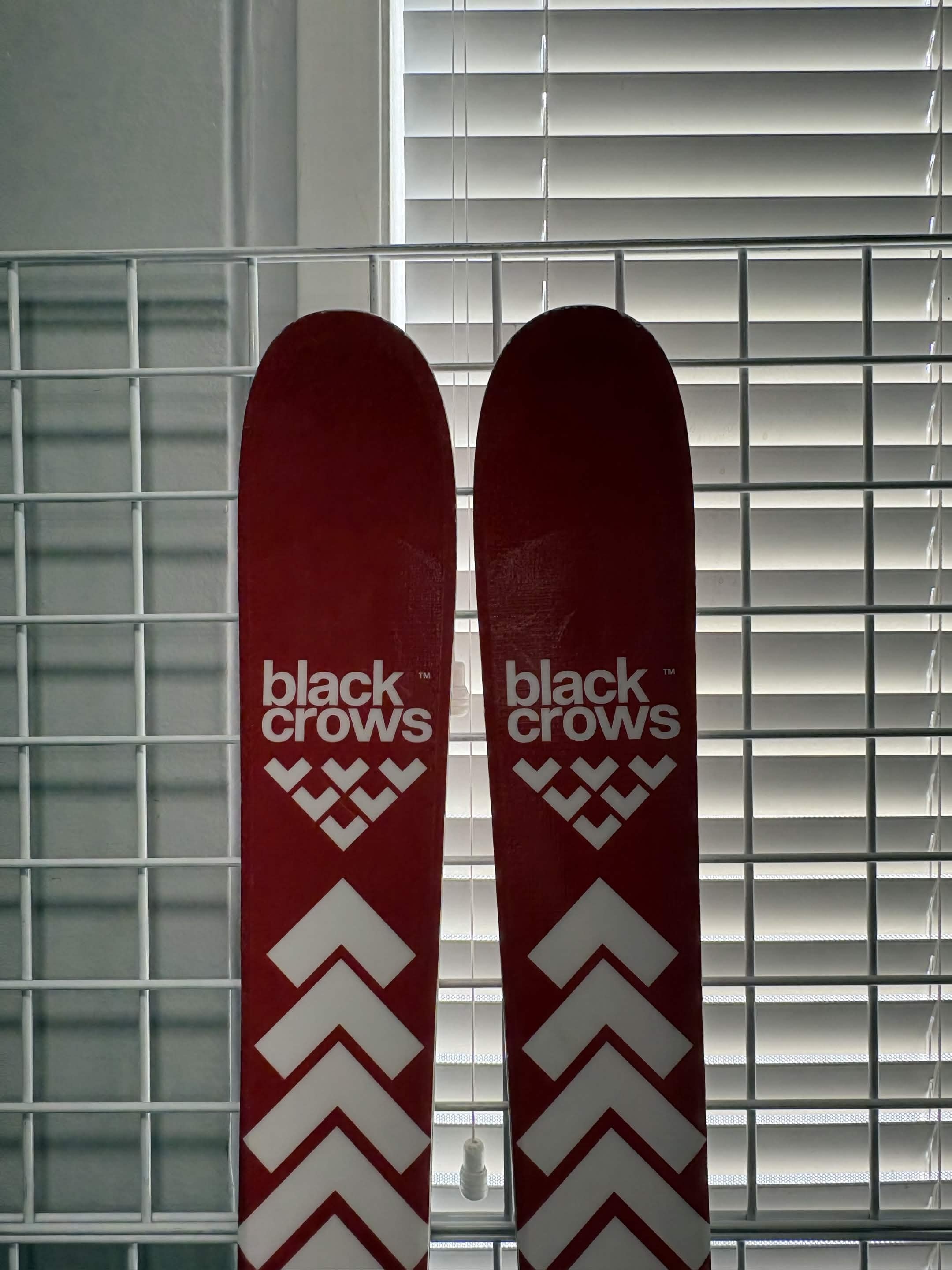 Black Crows Camox 182cm Skis w/ Atomic Strive 13 GW Demo Binding - Lightly Used 2026