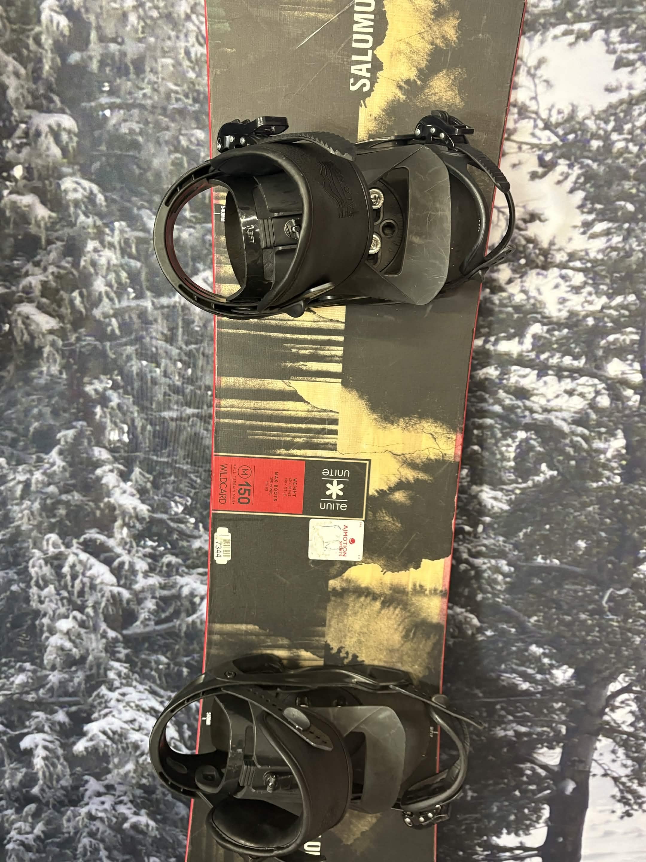 Salomon Wild Card D 150cm Snowboard - Used