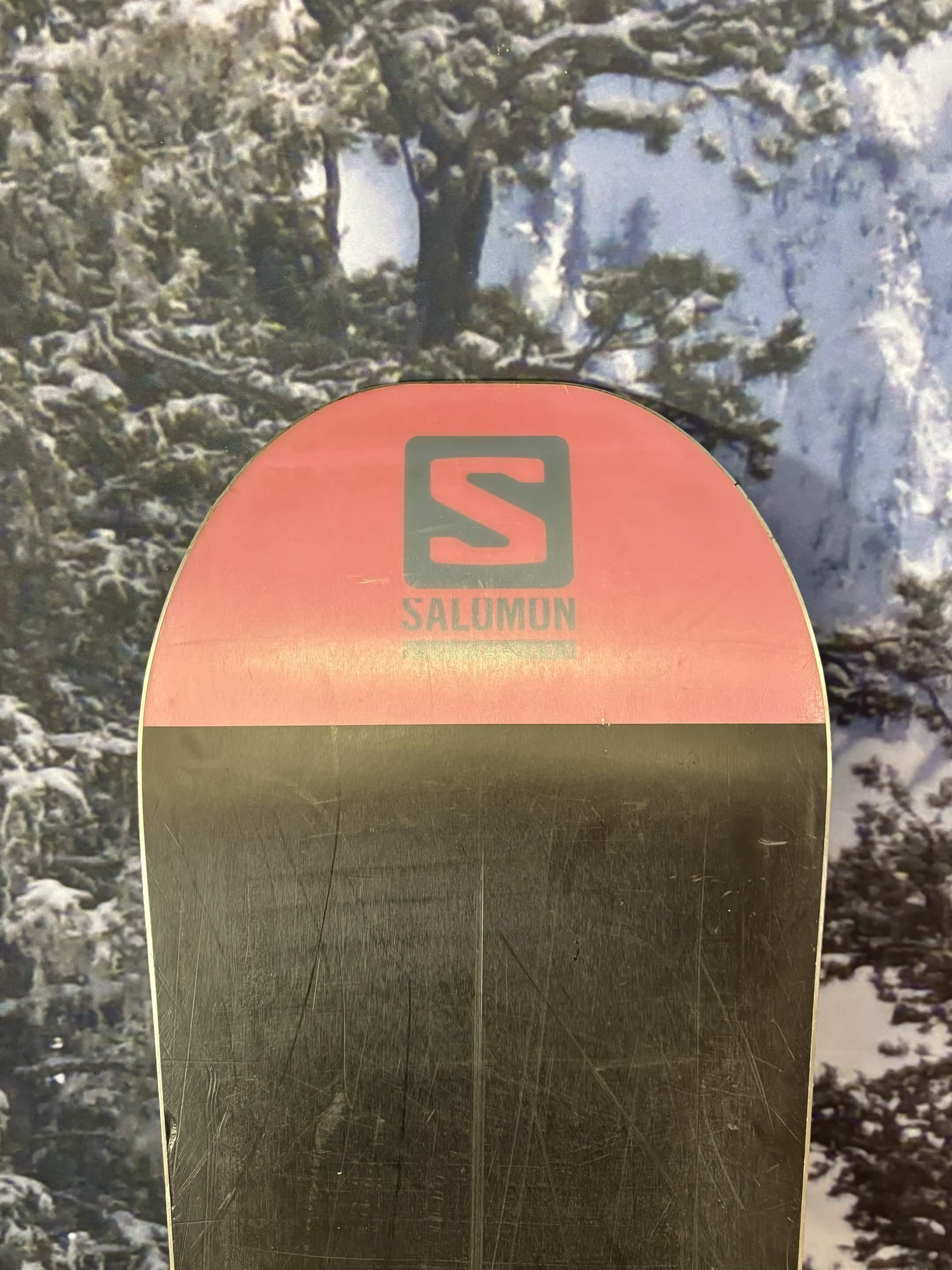 Salomon Wild Card D 150cm Snowboard - Used