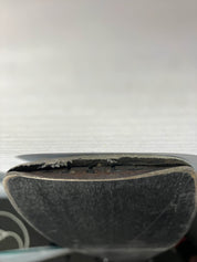 Well Loved Movement Go 90 Ski w/ Elan Attack 11mn Demo Bindings - 154CM