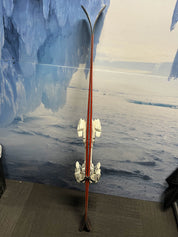 Used Head Caddy Youth Ski w/ Tyrolia Lrx 9.0 Demo Bindings - 161CM