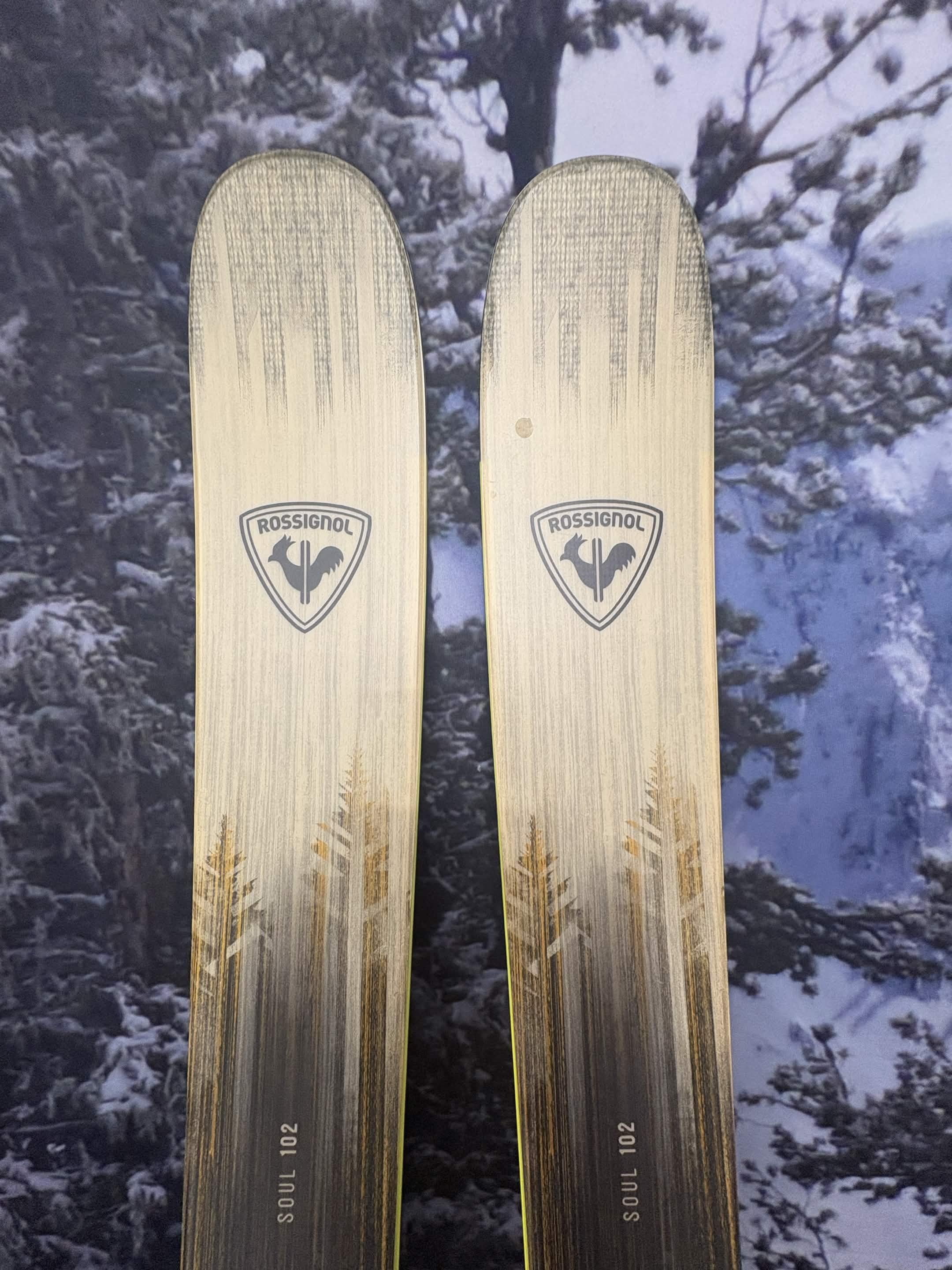 Rossignol Soul 102 180cm Skis w/ ROSSIGNOL NX 12 Konect GW SYS Demo Binding -New 2027