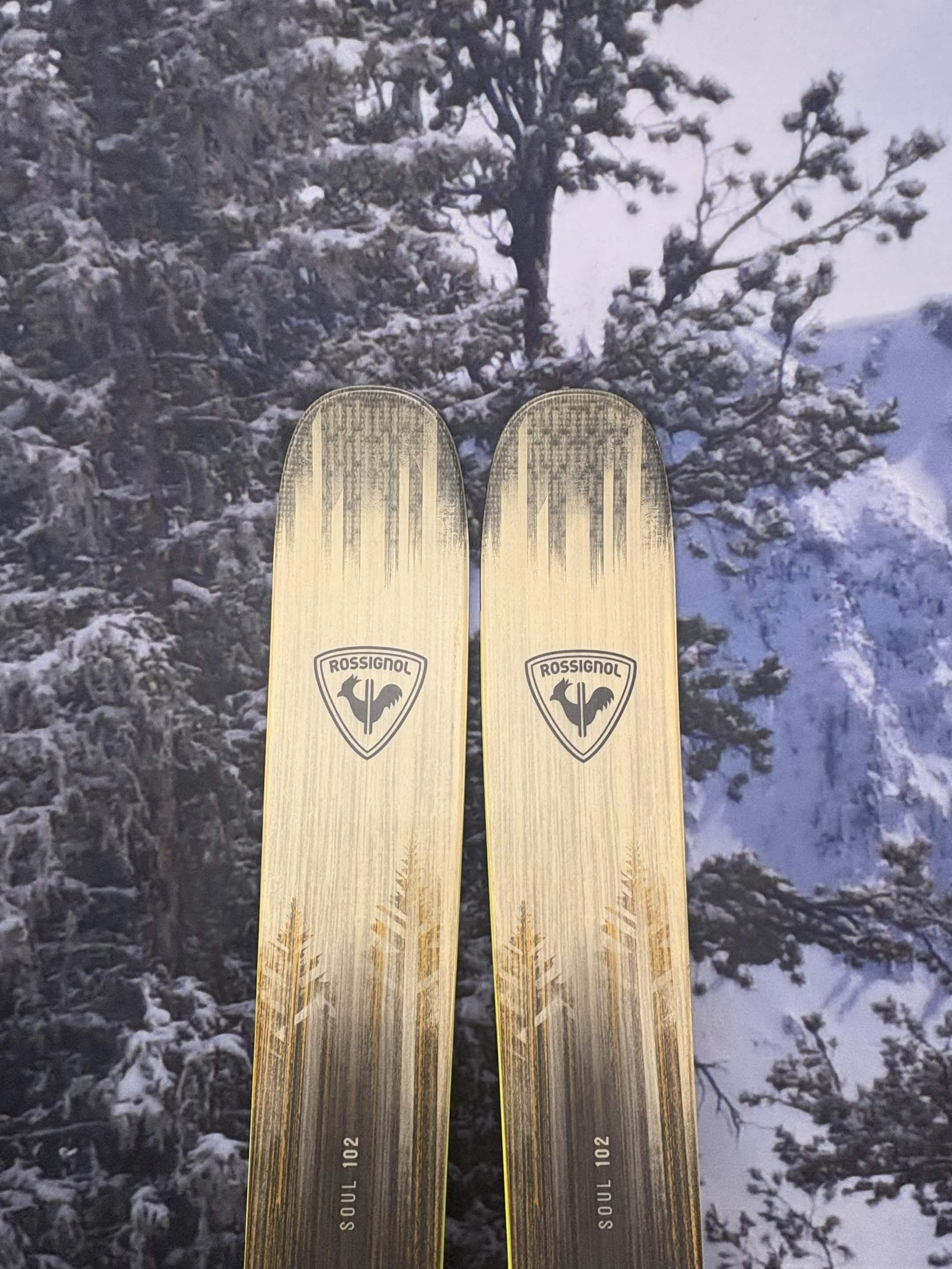 Rossignol Soul 102 172cm Skis w/ ROSSIGNOL NX 12 Konect GW SYS Demo Binding -New 2027