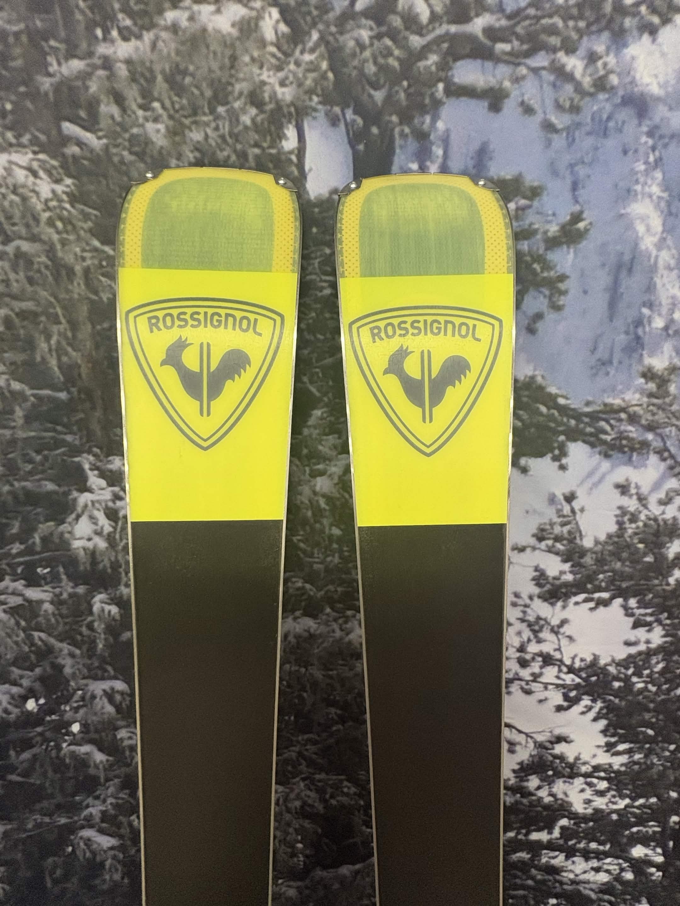 Rossignol Arcade 84 160cm Skis w/ ROSSIGNOL SPX Konect GW SYS Demo Binding - New 2027