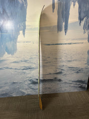 Well Loved Used Salomon Assassin 158 W Men's Snowboard - 158CM