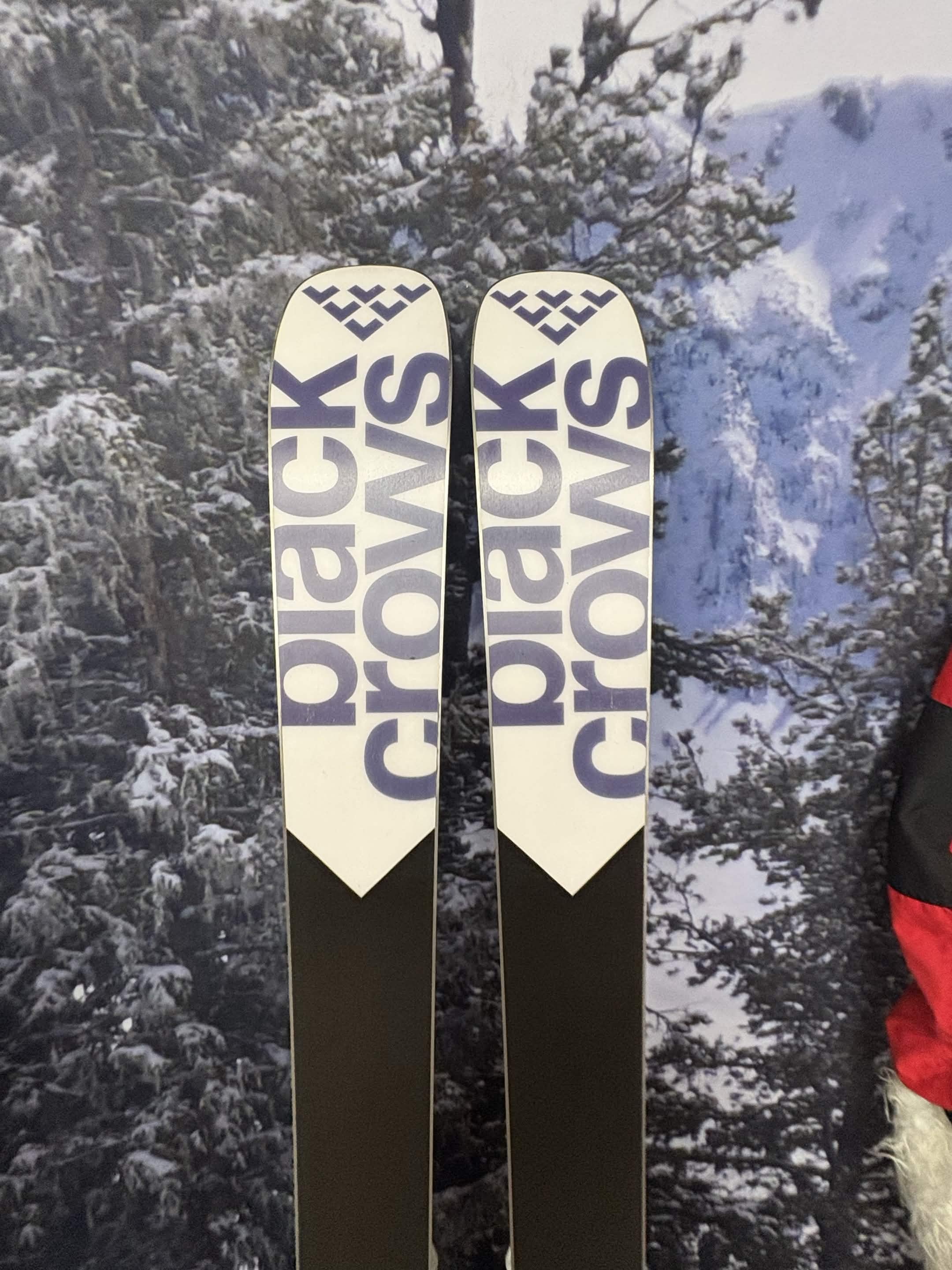 Black Crows Sato Birdie 167cm Skis w/ SALOMON M10 GW SYS SAL Demo Binding - New 2027