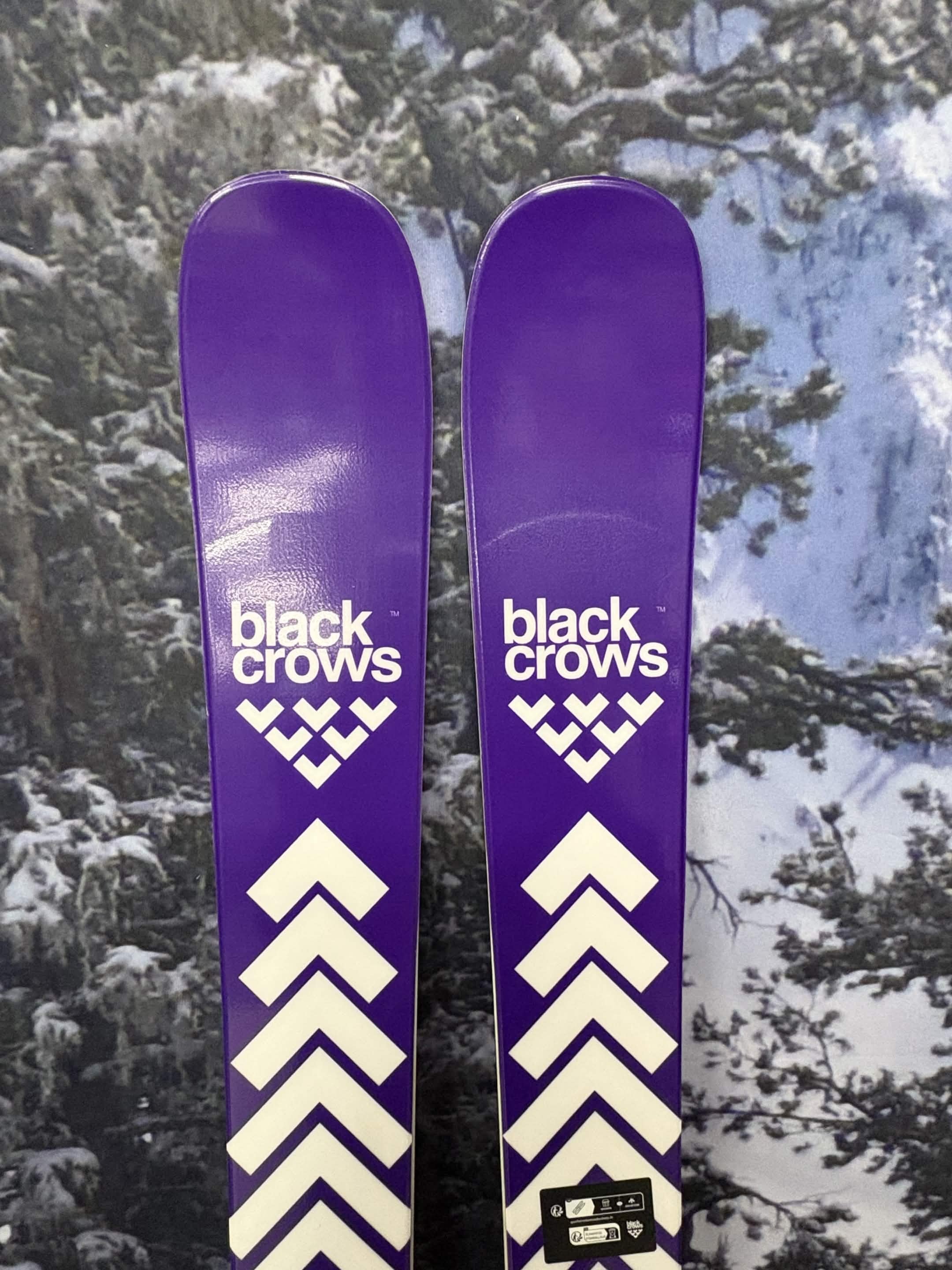 Black Crows Sato Birdie 161cm Skis w/ SALOMON M10 GW SYS SAL Demo Binding - New 2027