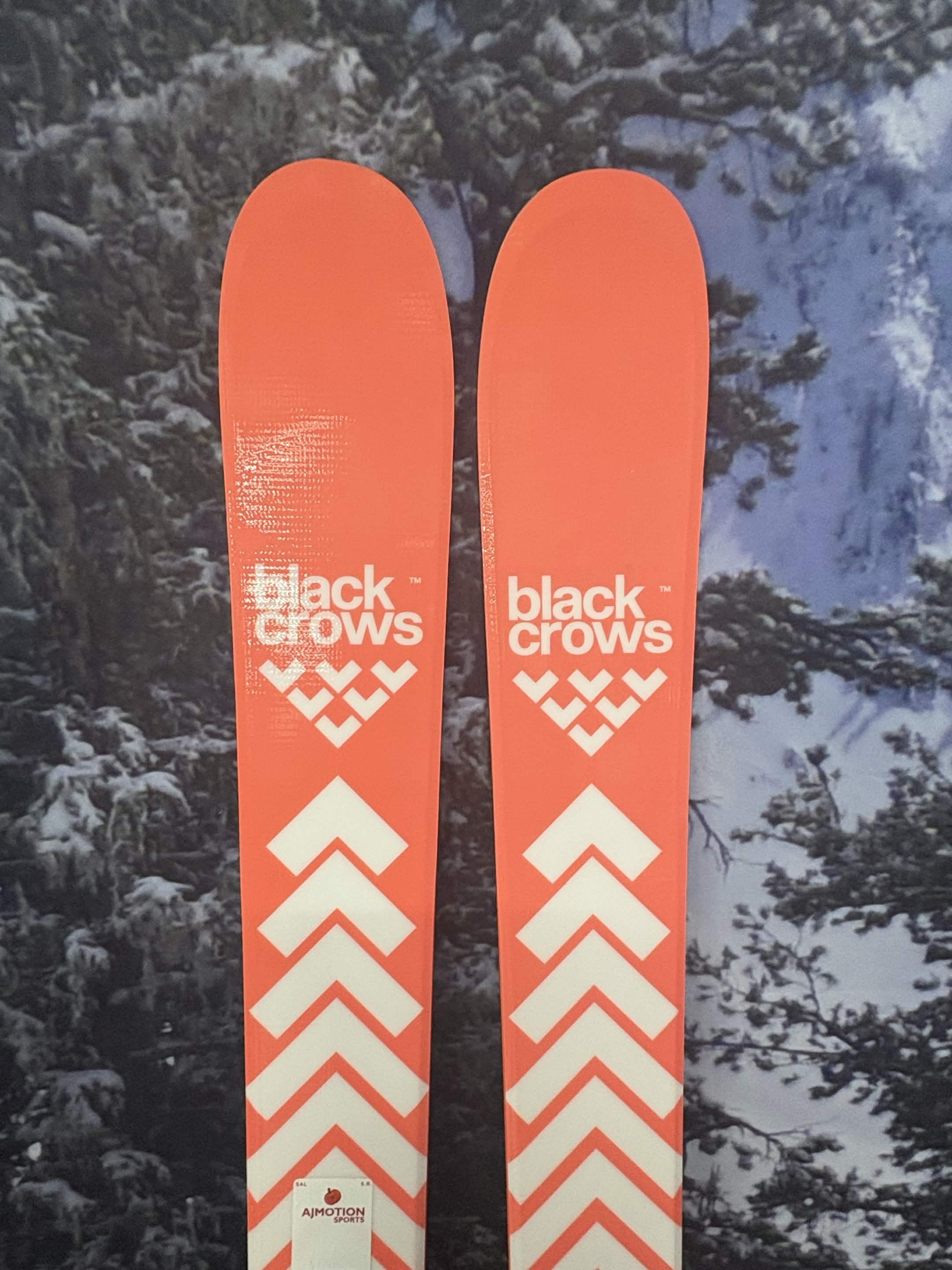 Black Crows Camox Birdie 162cm Skis w/ ATOMIC NR Strive 11 GW ATO Demo Binding - New 2027