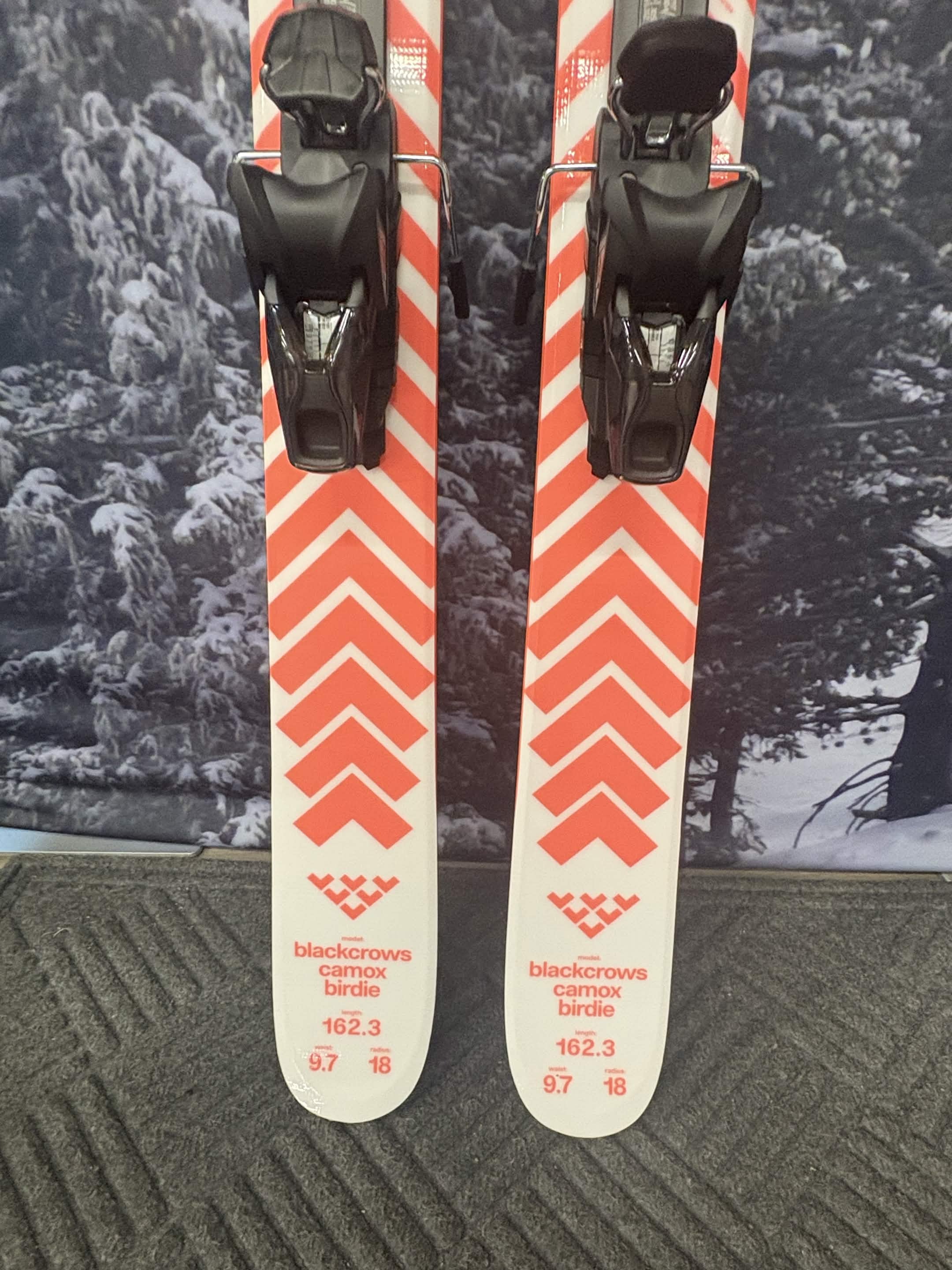 Black Crows Camox Birdie 162cm Skis w/ ATOMIC NR Strive 11 GW ATO Demo Binding - New 2027