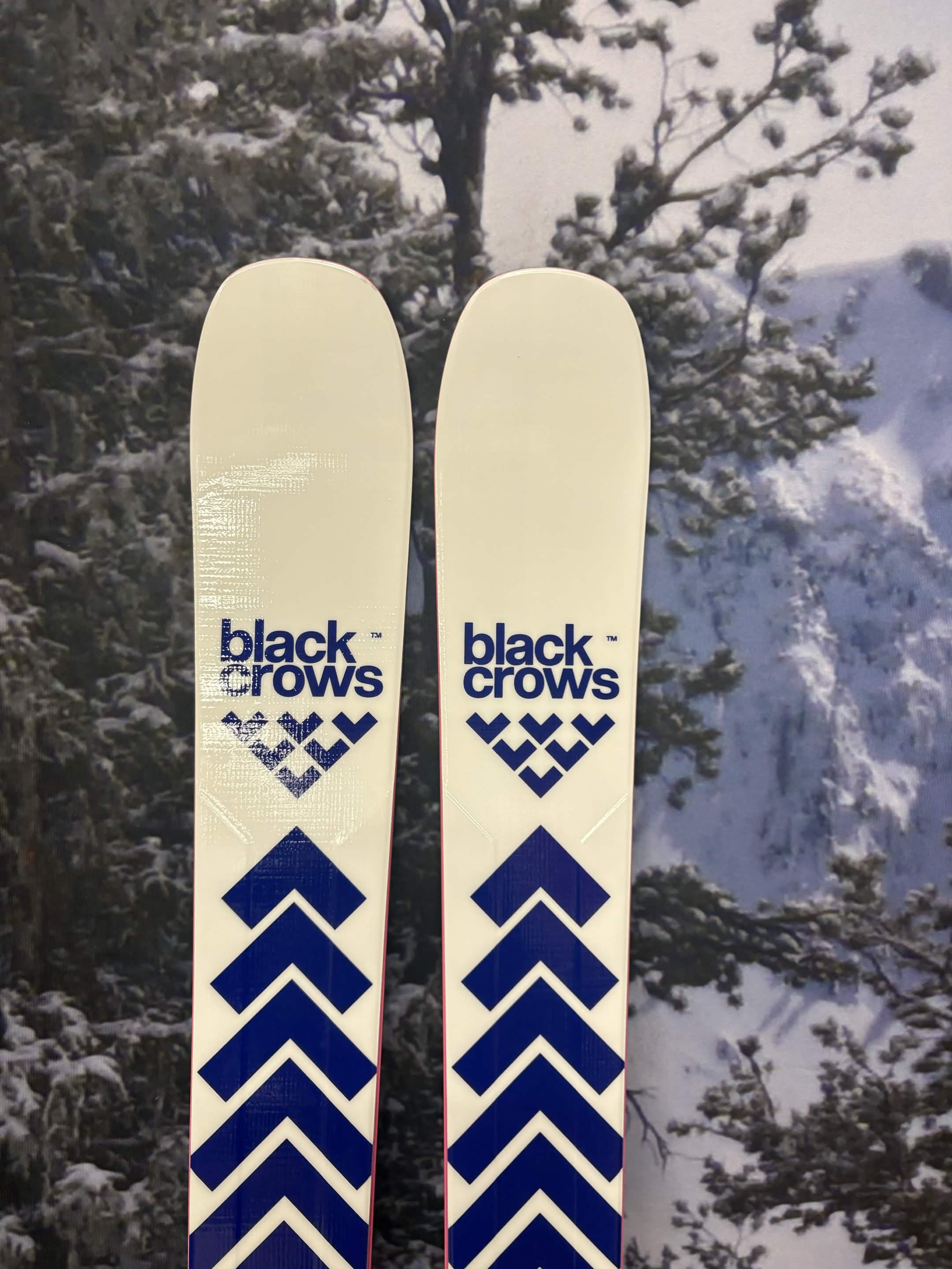 Black Crows Serpo 174cm Skis w/ ATOMIC NR Strive 13 GW ATO Demo Binding - New 2027