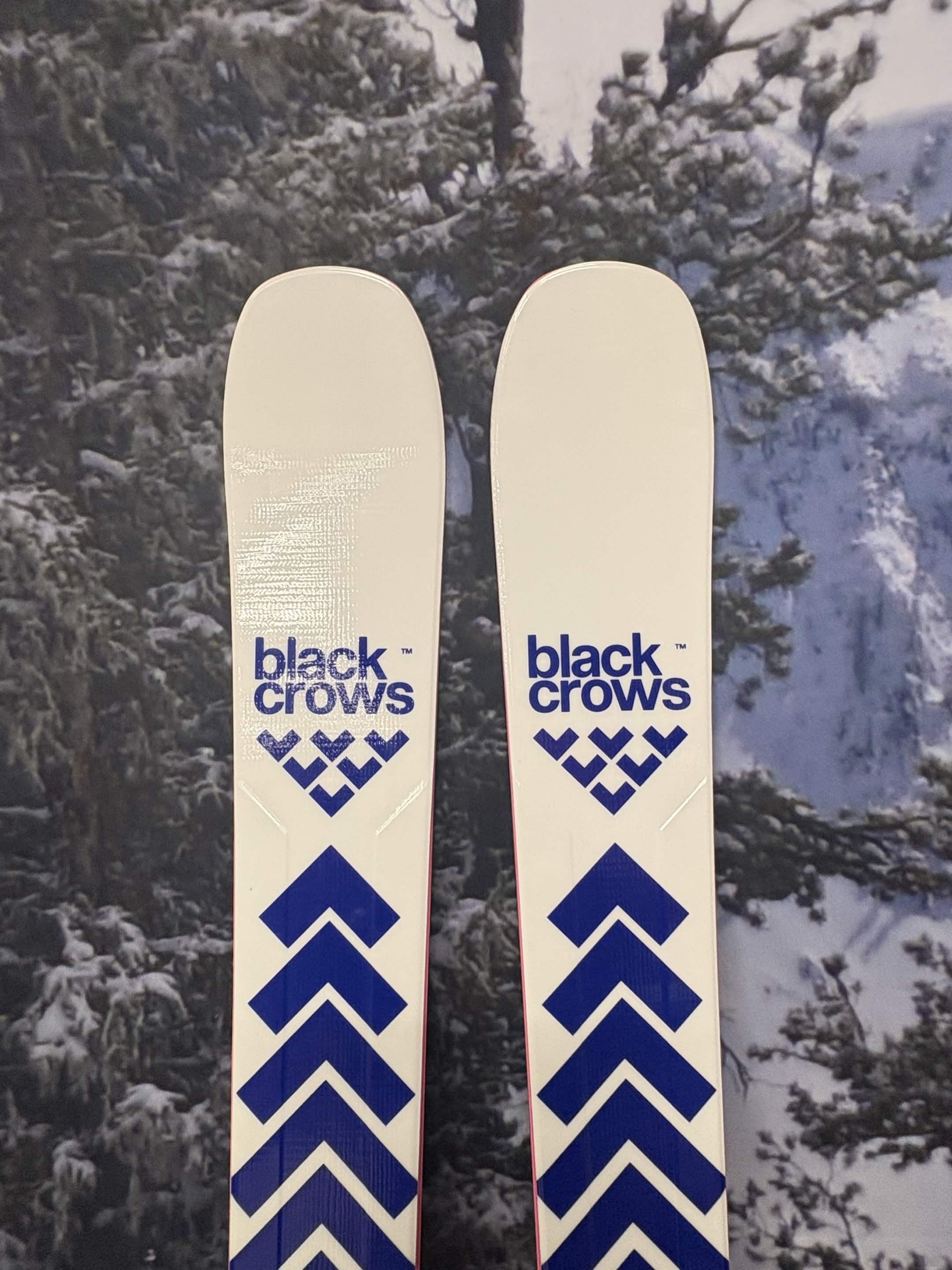 Black Crows Serpo 168cm Skis w/ ATOMIC NR Strive 13 GW ATO Demo Binding - New 2027