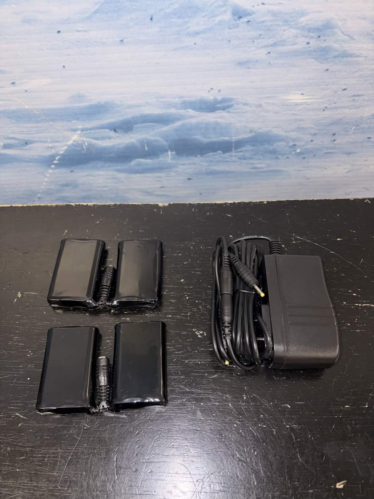 Alpina InTemp Battery Pack