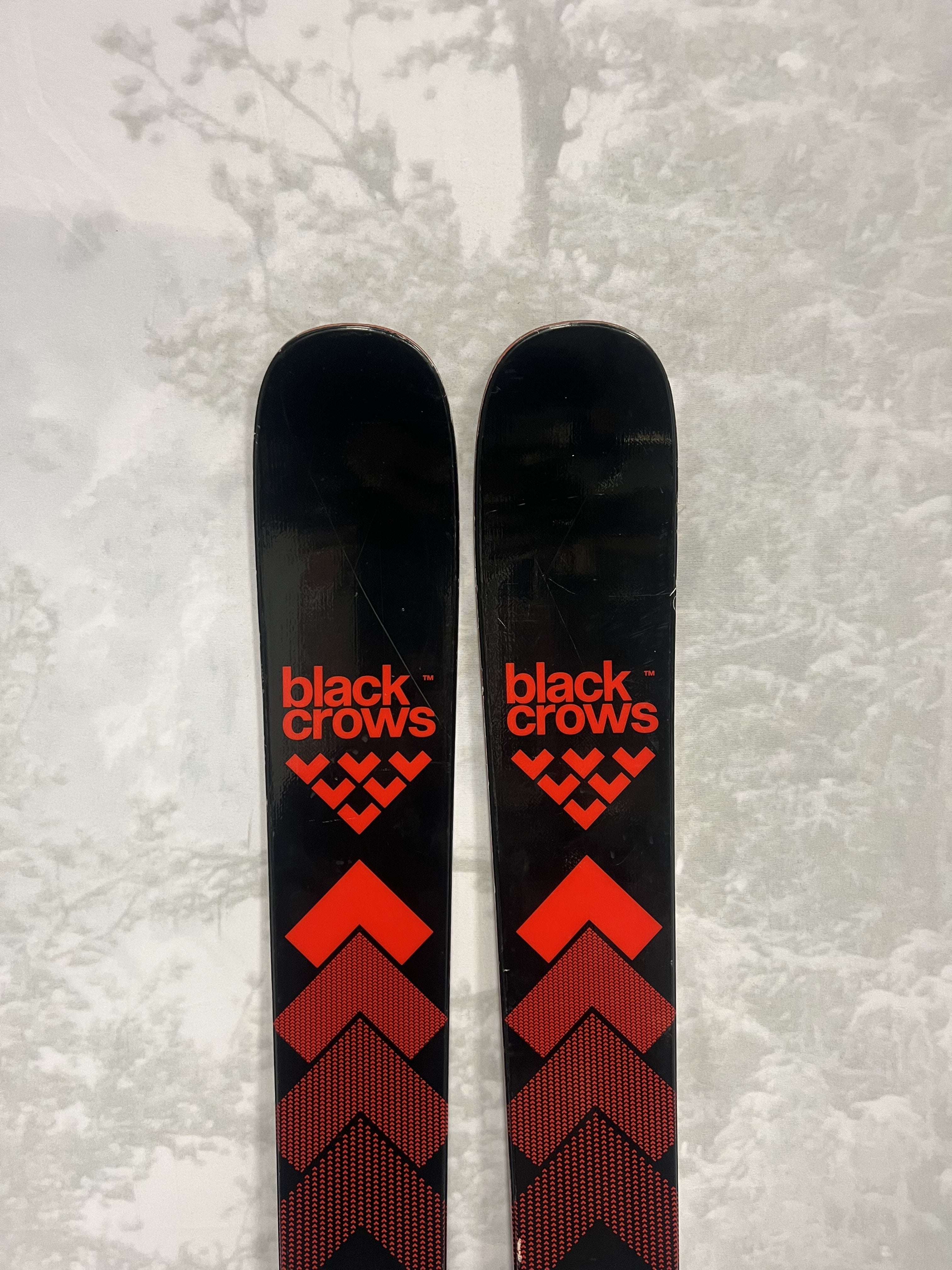 Used Black Crows Camox 2025 Skis 168cm w/ Tyrolia Attack 11 Demo Bindings