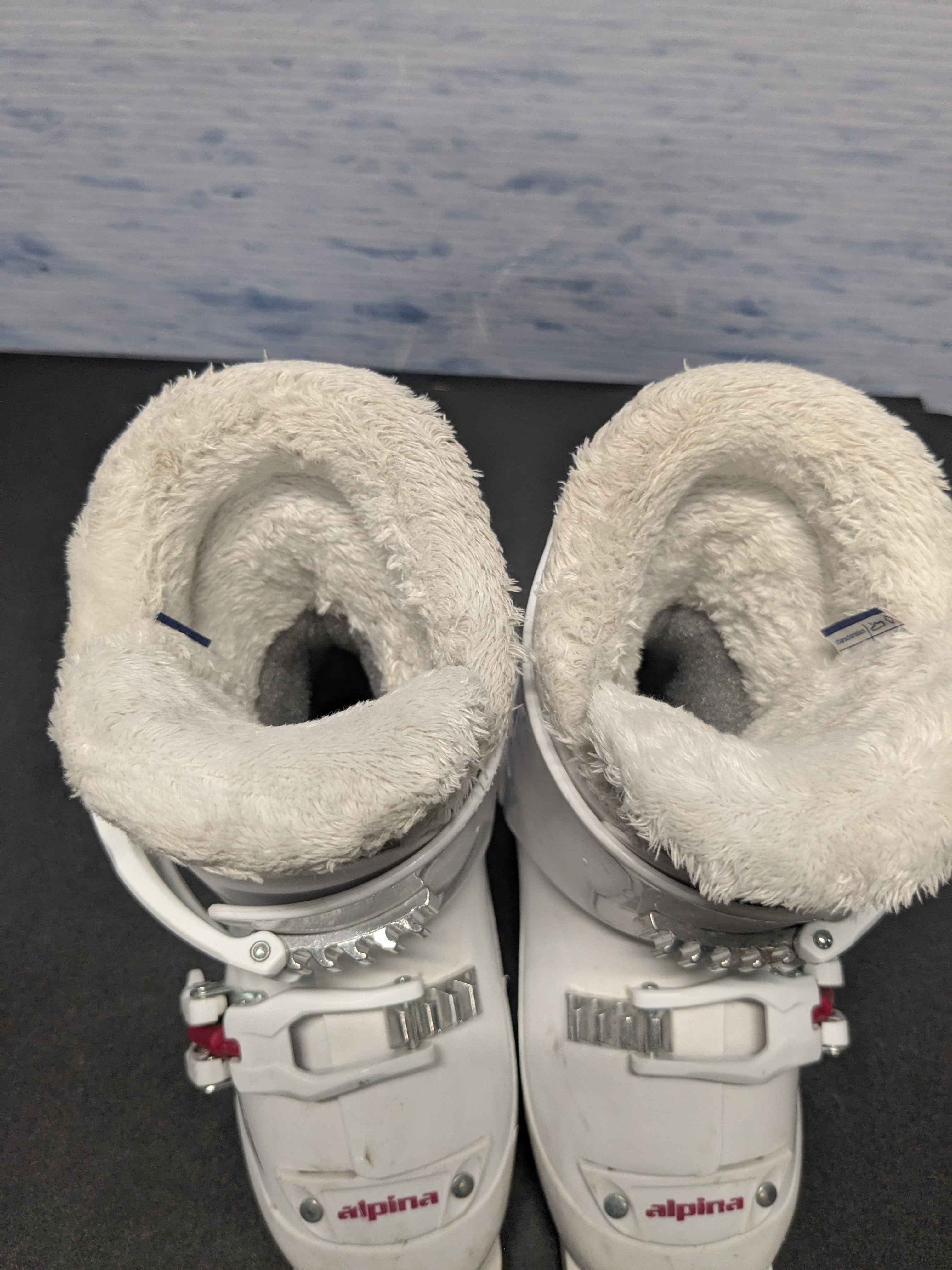 Used Alpina J2 Youth Ski Boot - 17.5MP