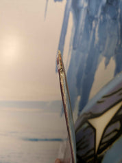 Heavily Used Atomic Bent Chetler 110 172cm with Demo Strive 11 bindings