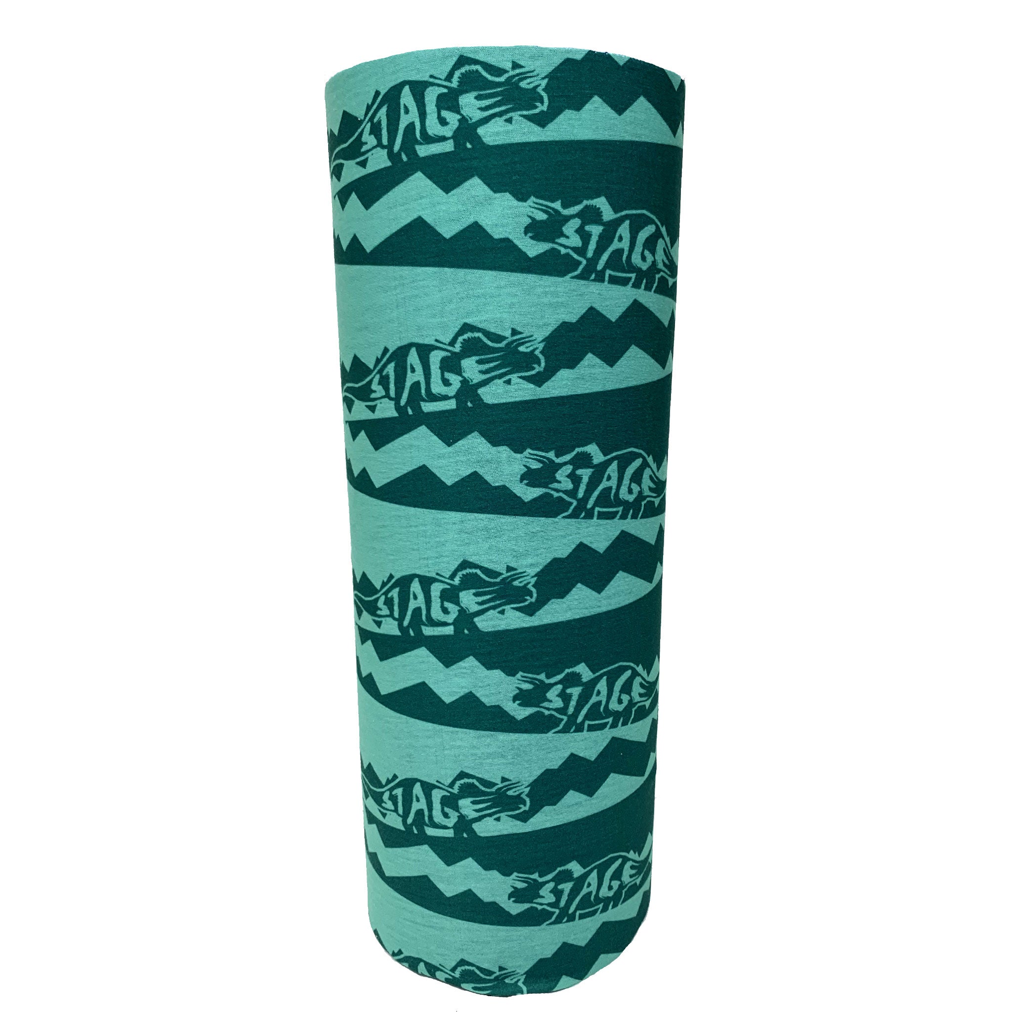 Dino-Teal_f213fcfb-a655-4d41-87ad-5b1c8d7fa575.jpg