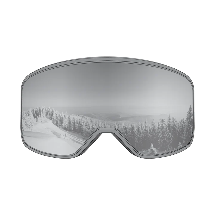 STAGE Prop Goggle - Grey Frame / Mirror Chrome Lens