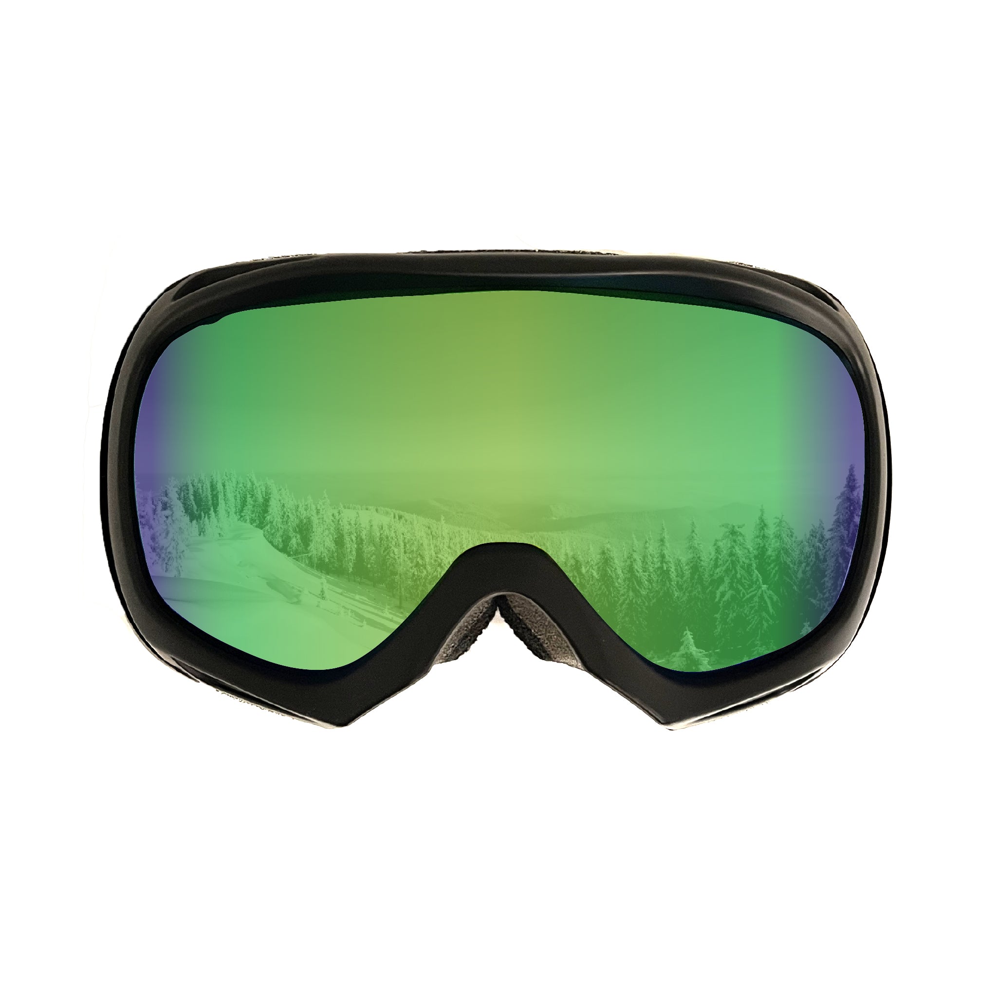 STAGE OTG Goggle