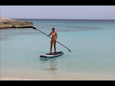 STAGE 2SIDE Double-Sided Paddleboard Paddle - Aluminum w/ PP+F Blades - SUP Paddle